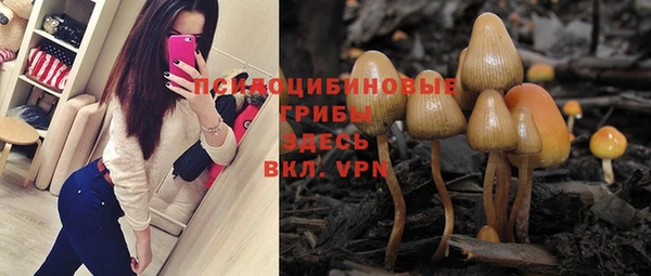 дурь Волоколамск