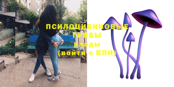 дурь Волоколамск
