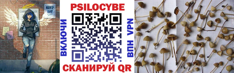 дарнет шоп Назарово Галлюциногенные грибы GOLDEN TEACHER